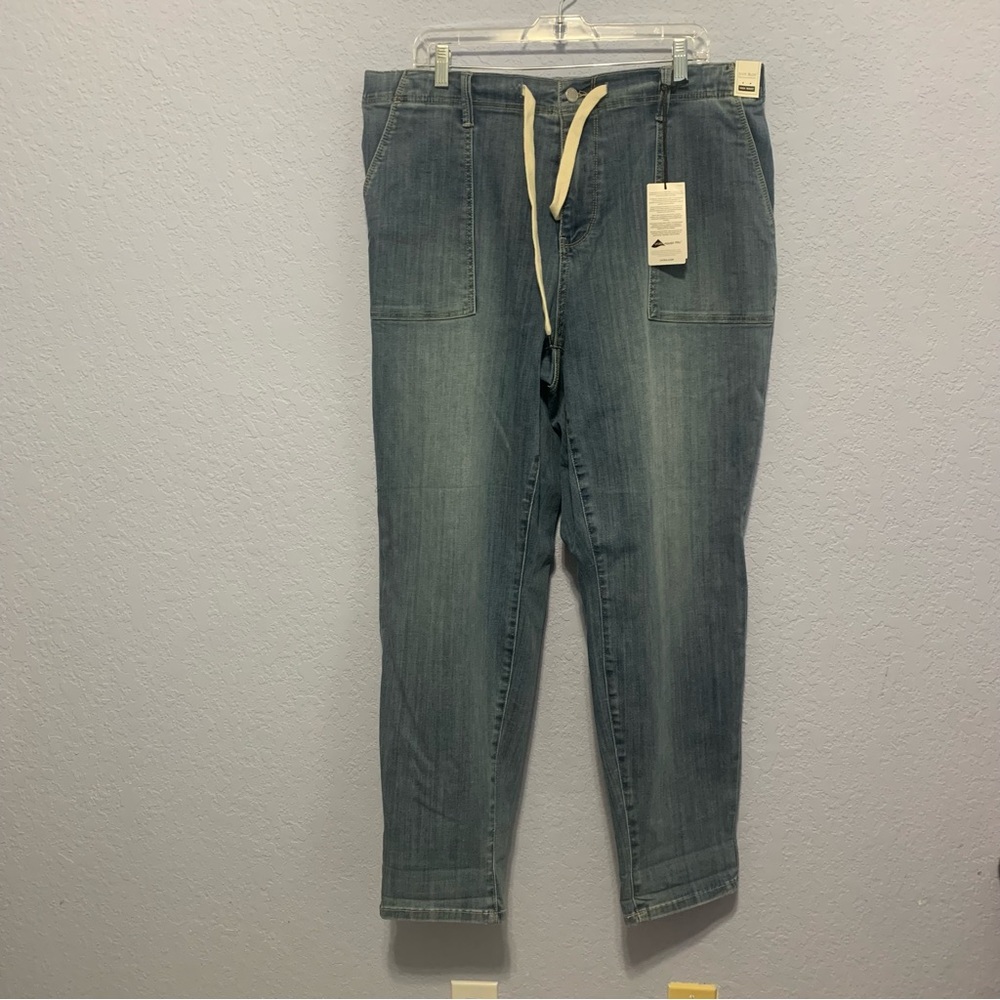 Judy Blue Hi-Rise Pull On Jogger Plus Size Jeans